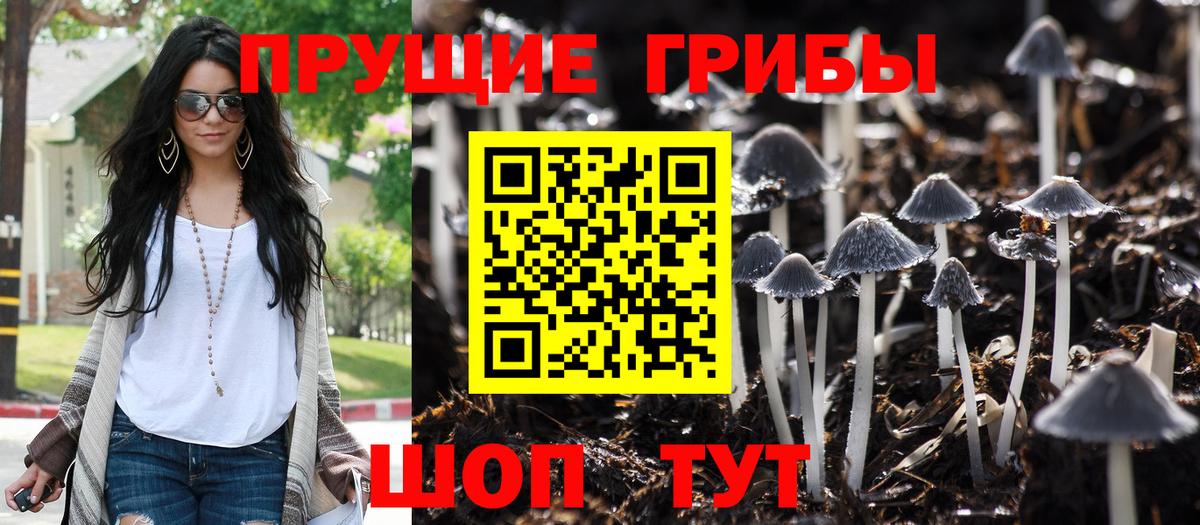 Камень-на-Оби  Псилоцибиновые грибы GOLDEN TEACHER  закладка  Вход с VPN 