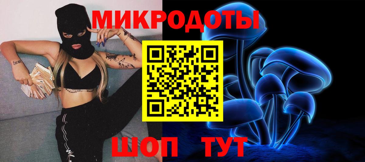 Псилоцибиновые грибы Psilocybe Камень-на-Оби